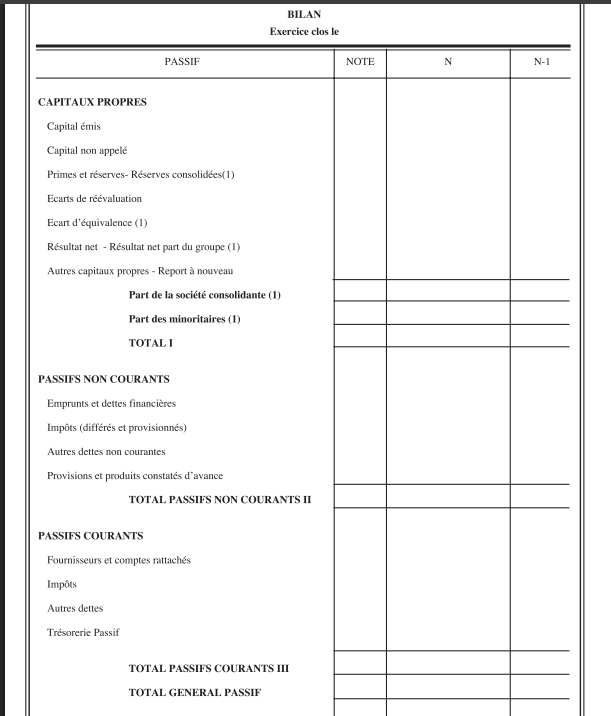  Bilan comptable passif Algérie
